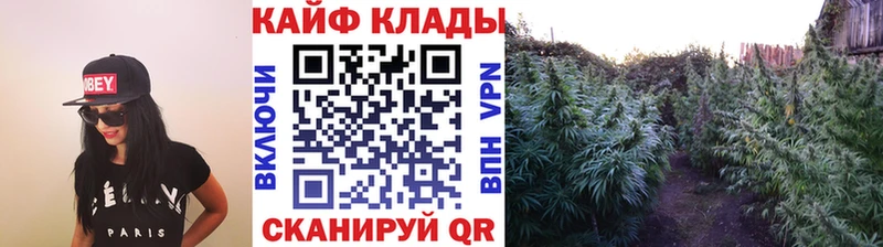 Виды наркоты Выборг Альфа ПВП КОКАИН