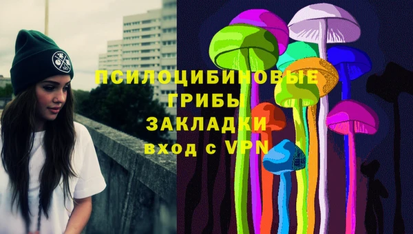 амф Белокуриха