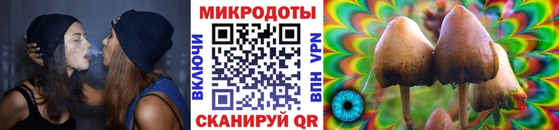 Галлюциногенные грибы мицелий Выборг